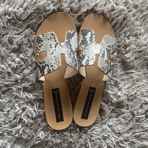 Snake Skin Greece Leather Steve Madden Sandal